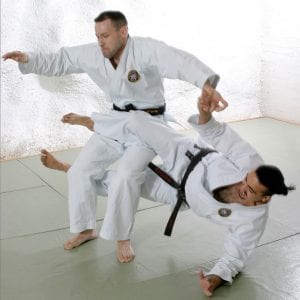Two Male Adults in Jujitsu Session